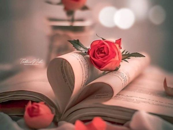 This is not a love&nbsp;story.